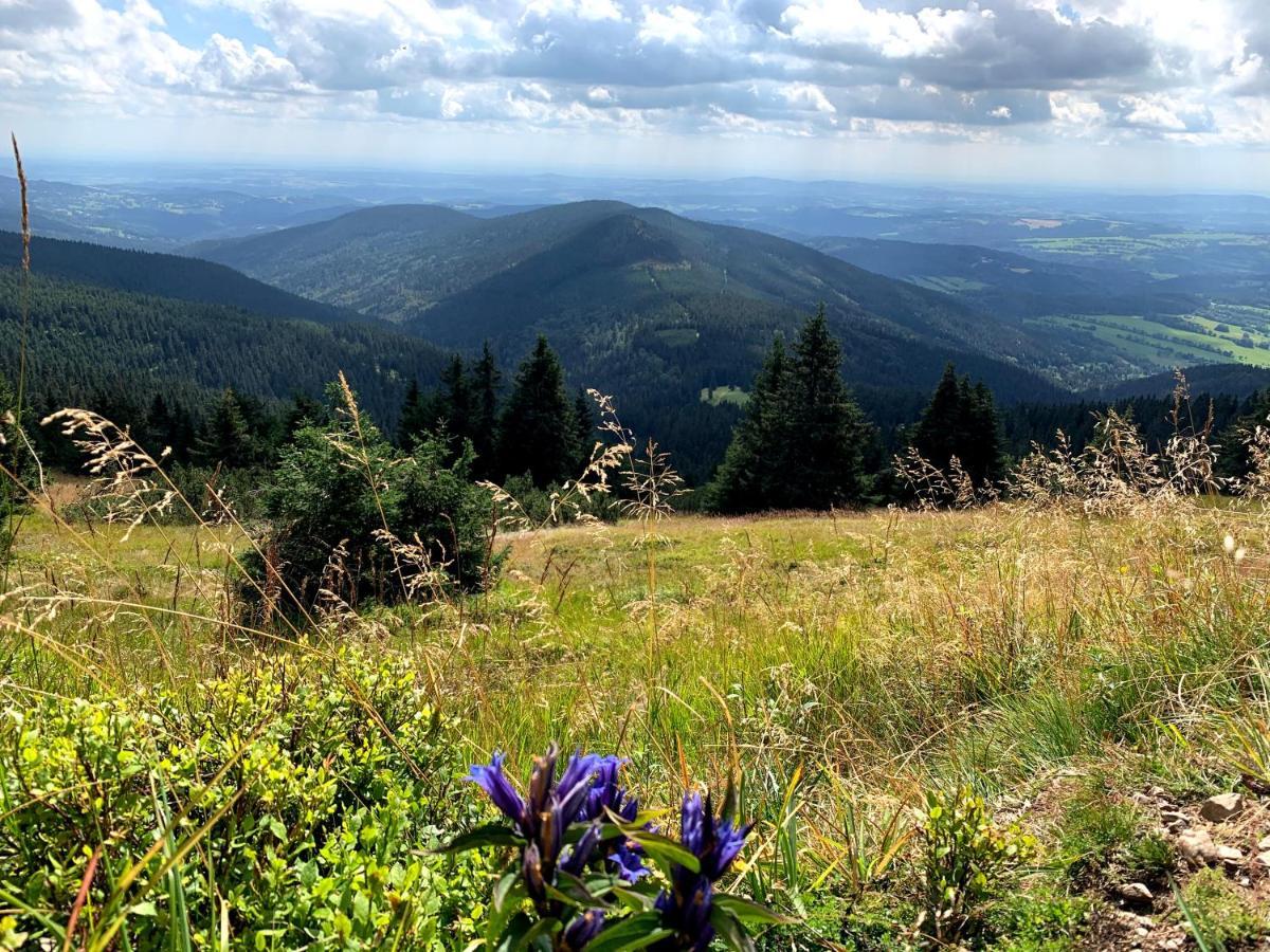 Apartmany Stare-Hory Krkonose Roudnice Екстер'єр фото